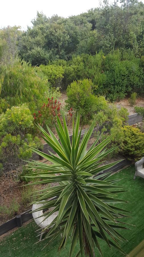 Venus Escapes Guesthouse Venus Bay Εξωτερικό φωτογραφία